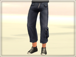 Creator: lottie-sims