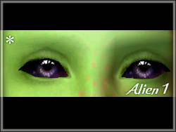 Creator: yun-sims/someone-elsa